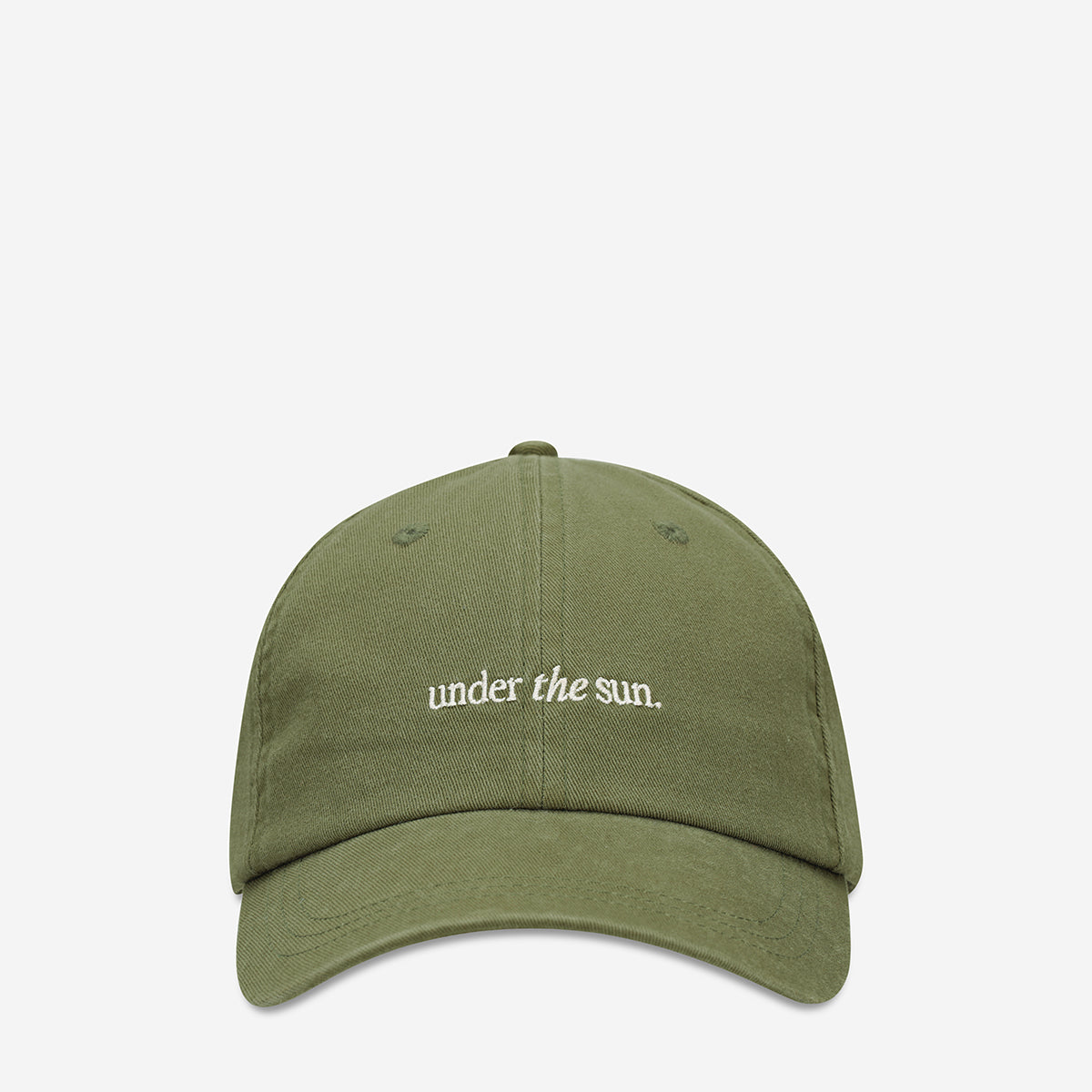 Status Anxiety Under the Sun Logo Hat Fern